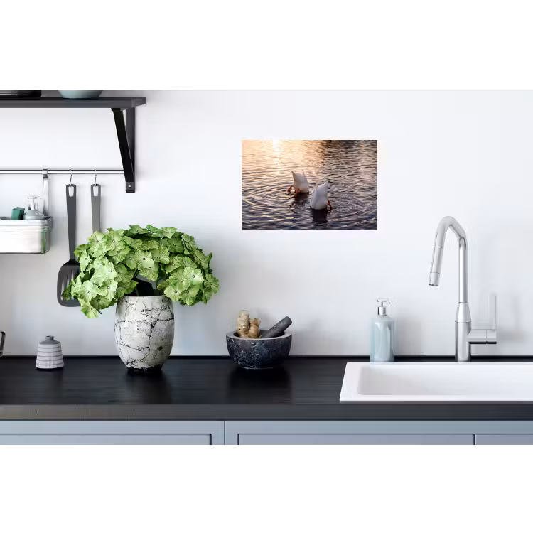 Eenden - Water - Natuur Muursticker klein -keuken