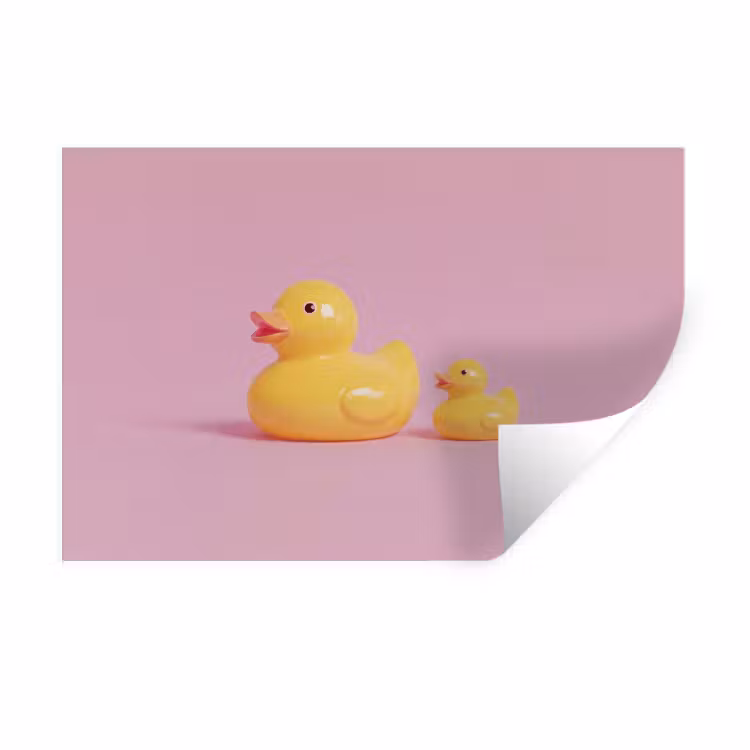Eendjes - Vrolijk - Roze Muursticker klein -3d