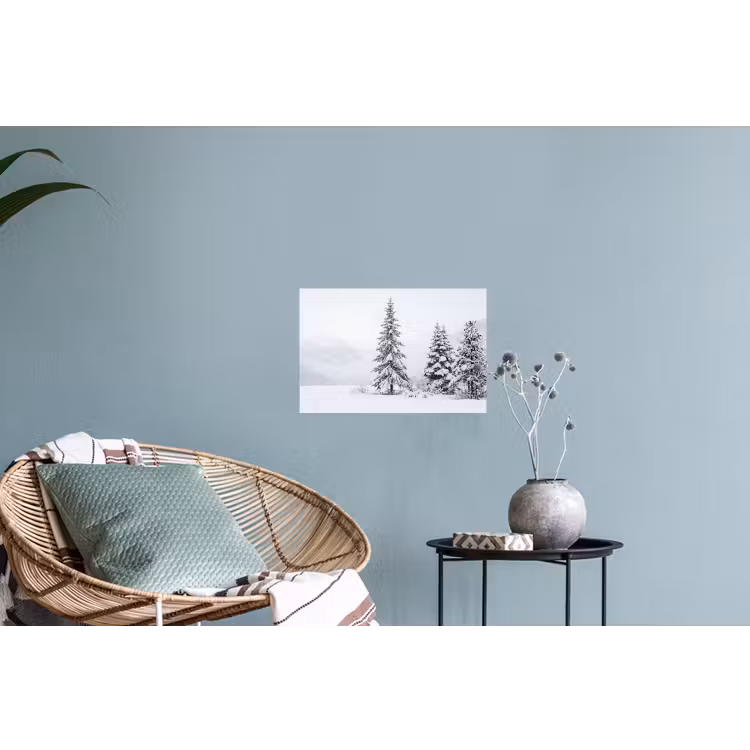 Fijnsparren - Sneeuw - Winter - Landschap - Stilte Muursticker klein -plant
