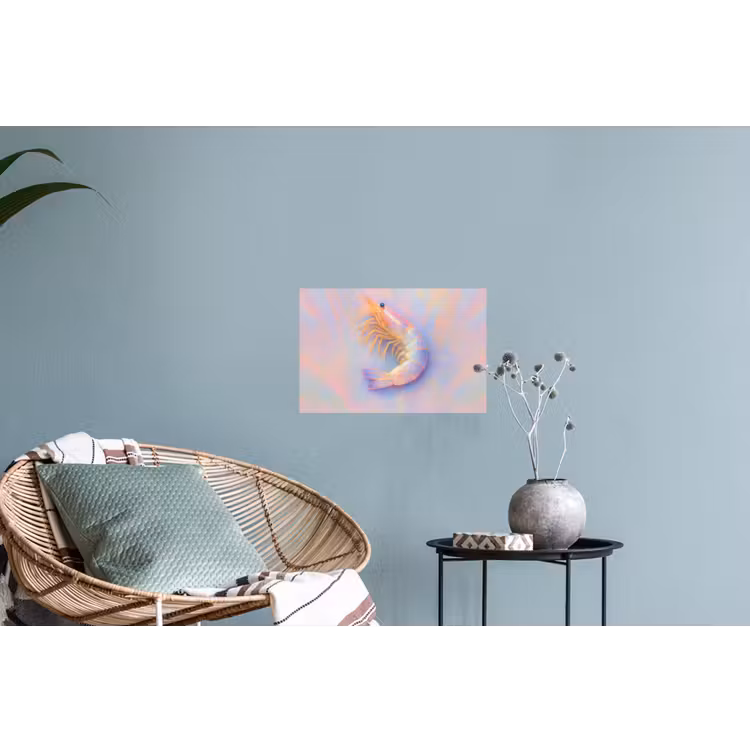 Garnaal - Subtiele structuur - Blauw - Roze Muursticker klein -plant