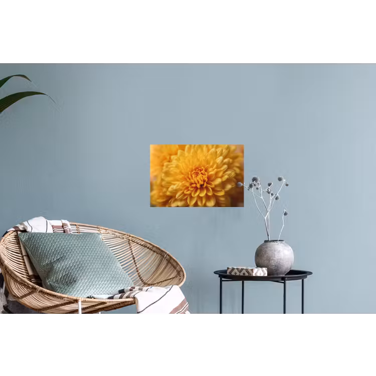 Geel - Chrysant - Zachtheid Muursticker klein -plant