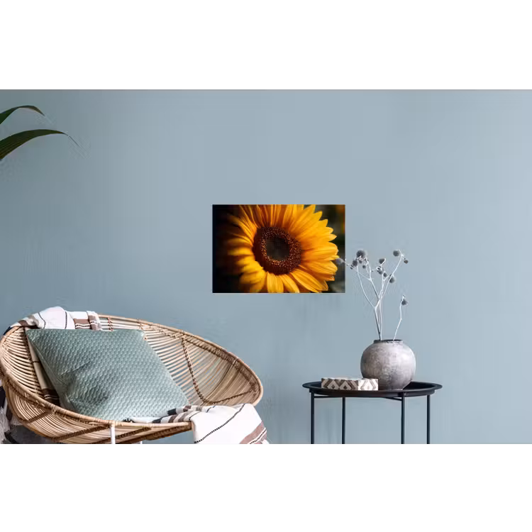 Geel - Zonnebloem - Zomers Muursticker klein -plant