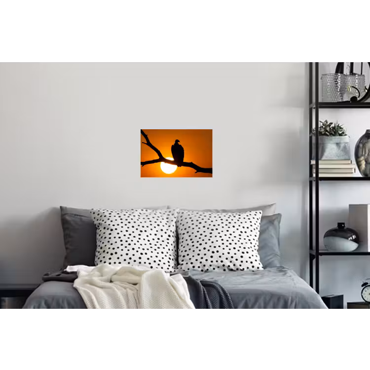 Gier - Tak - Zon - Oranje Muursticker klein -slaapkamer