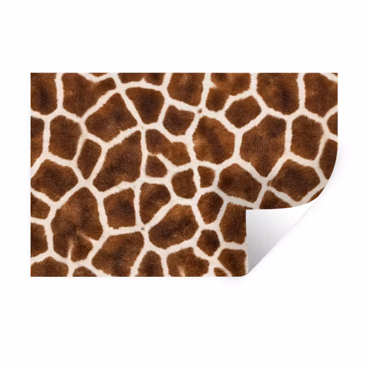 Giraf - Vacht - Klassiek - Bruin Muursticker klein -3d