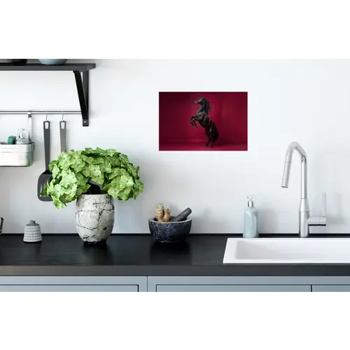 Hengst - Steigert - Rood Muursticker klein -keuken