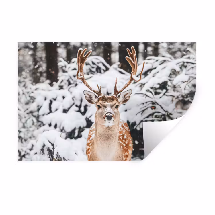 Hert - Sneeuw - Winter - Bos - Dieren Muursticker klein -3d