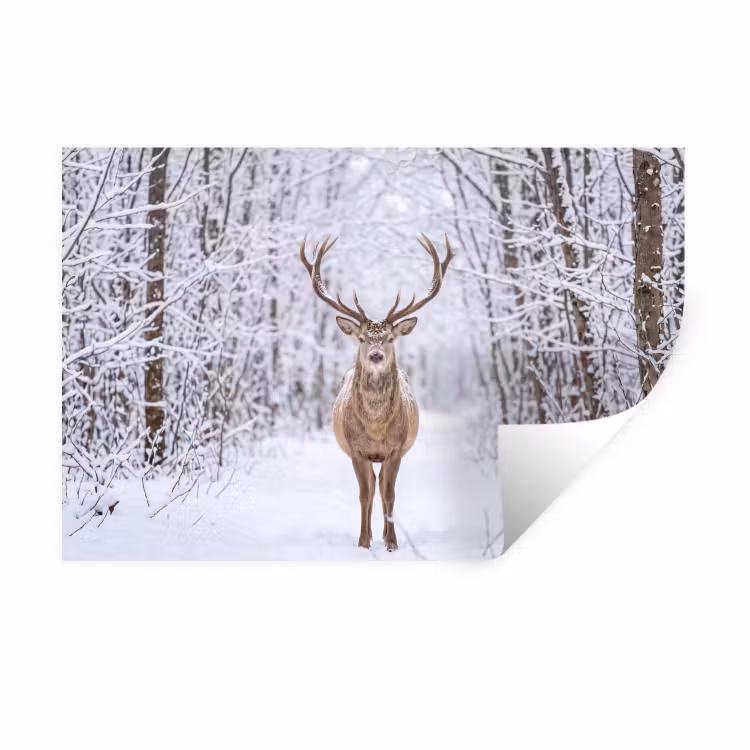 Hert - Winter - Bos - Natuur - Wit Muursticker klein -3d
