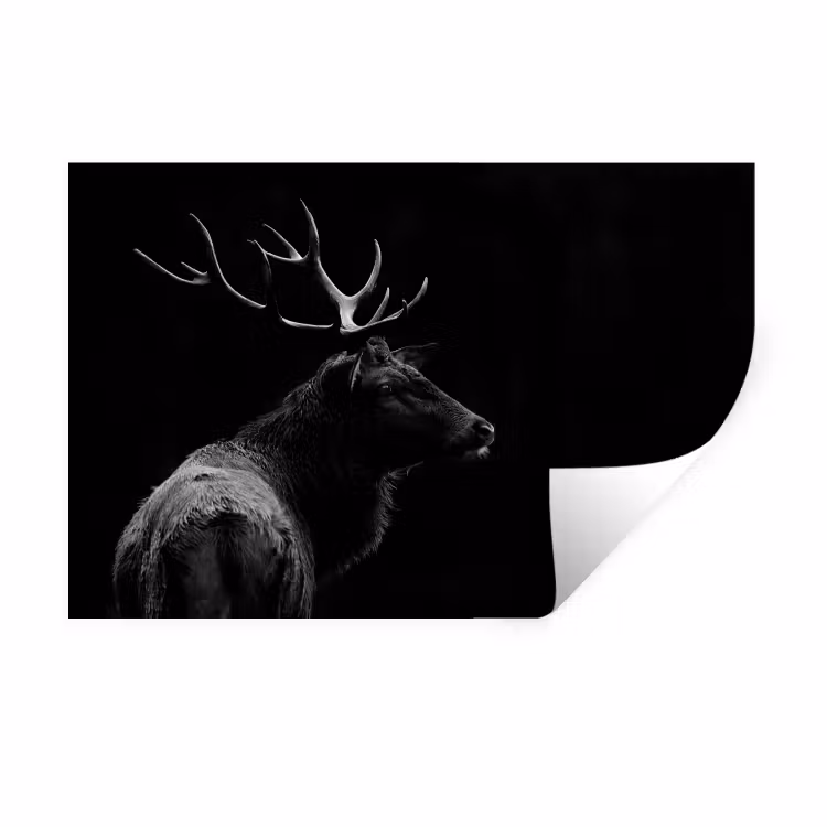 Hert - Zwart - Portret - Gewei - Dieren Muursticker klein -3d