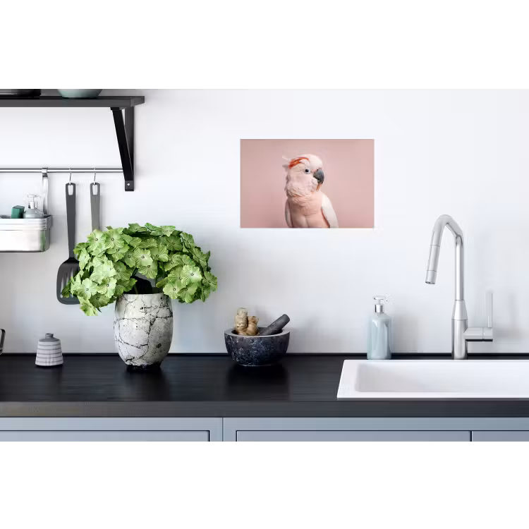 Kaketoe - Portret - Roze Muursticker klein -keuken