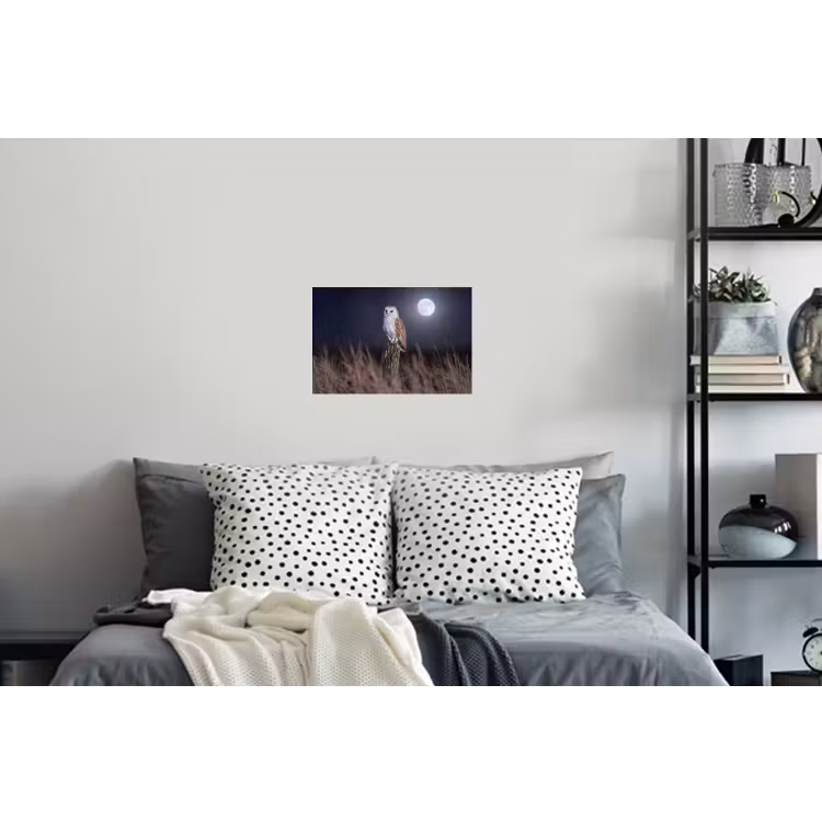 Kerkuil - Maan - Nacht Muursticker klein -slaapkamer