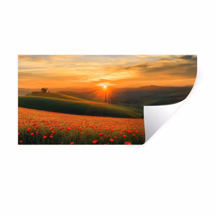 Klaprozen - Bloemen - Heuvels - Zonsondergang Muursticker klein -3d