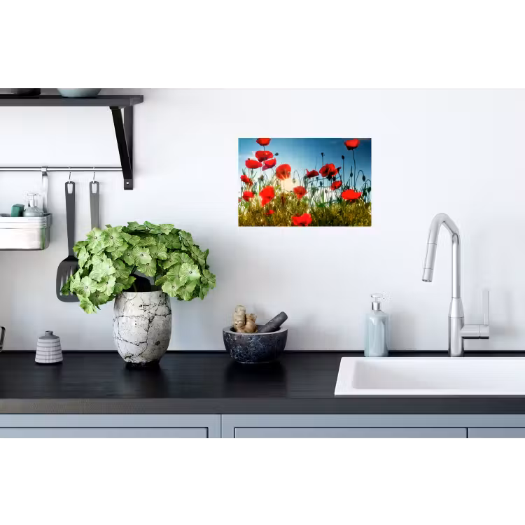 Klaprozen - Toscane - Zon - Rood - Blauw Muursticker klein -keuken