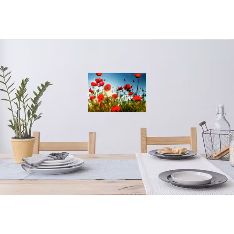 Klaprozen - Toscane - Zon - Rood - Blauw Muursticker klein -eettafel