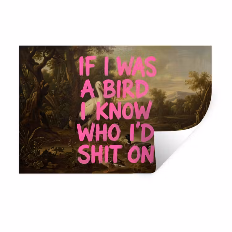 Klassiek - Humor - Roze Muursticker klein -3d