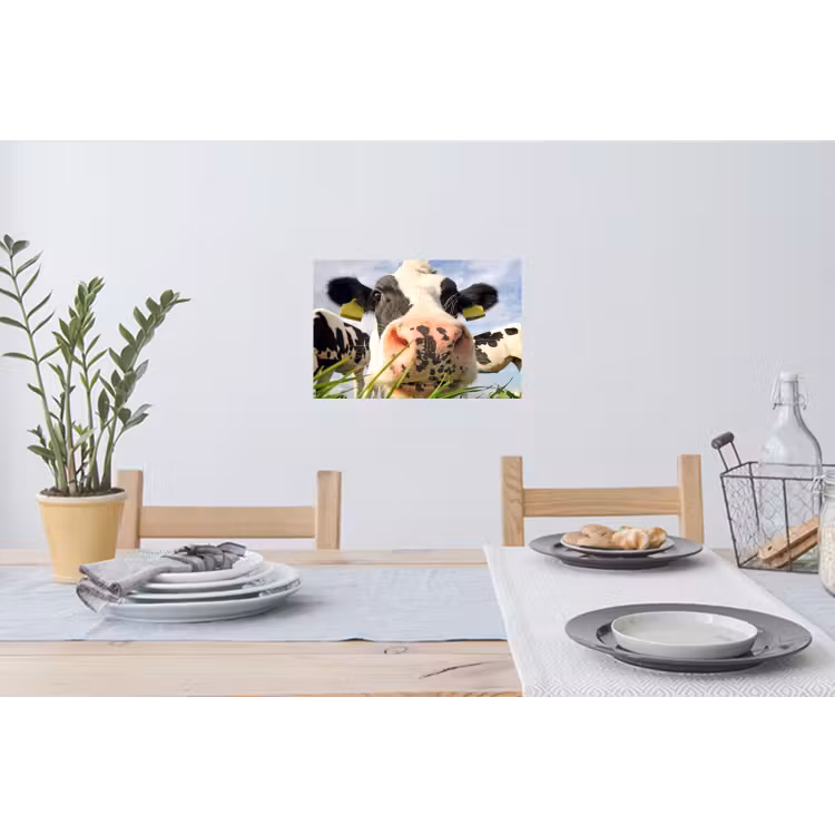 Koe - Boerderij - Gras - Dieren Muursticker klein -eettafel