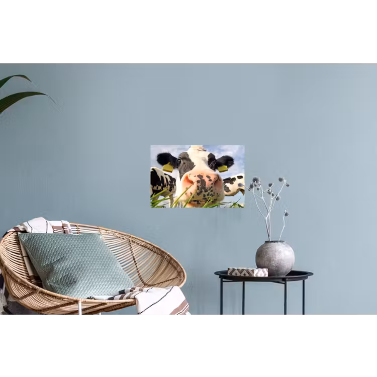 Koe - Boerderij - Gras - Dieren Muursticker klein -plant