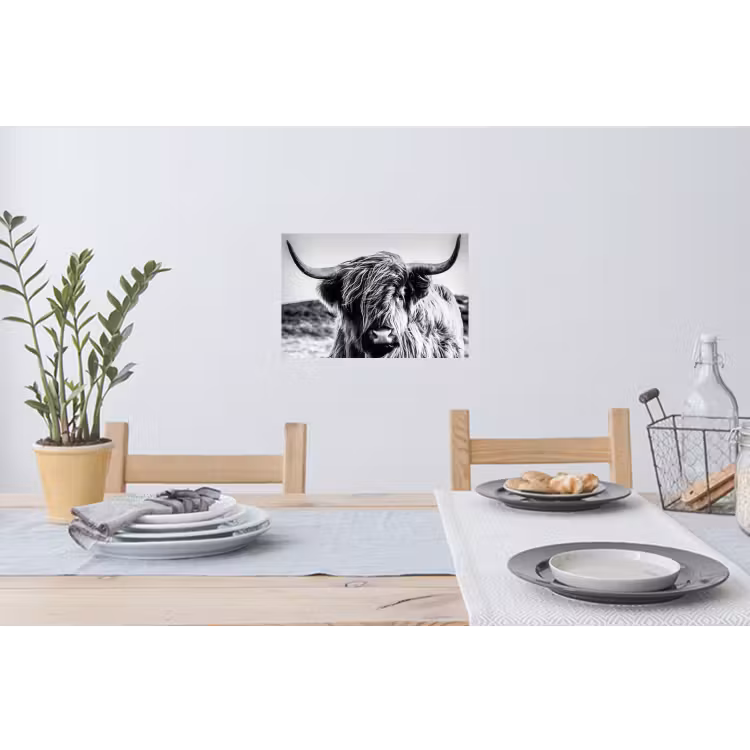 Koe - Schotse hooglander - Zwart - Wit - Dier - Natuur - Wild Muursticker klein -eettafel