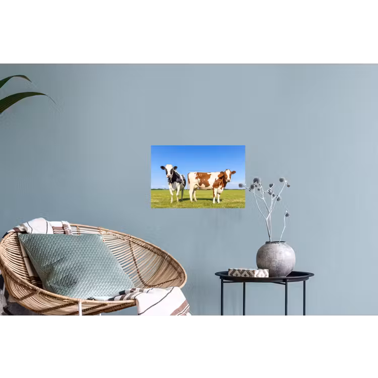 Koeien - Boerderij - Gras- Natuur - Dieren Muursticker klein -plant