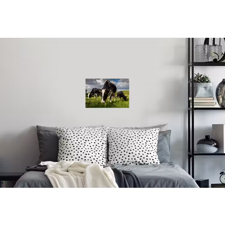 Koeien - Dieren - Gras - Weiland - Boerderij Muursticker klein -slaapkamer