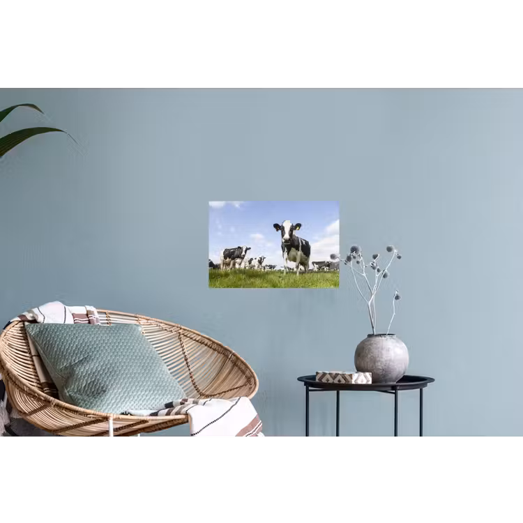 Koeien - Gras - Dieren - Zon - Boerderij Muursticker klein -plant