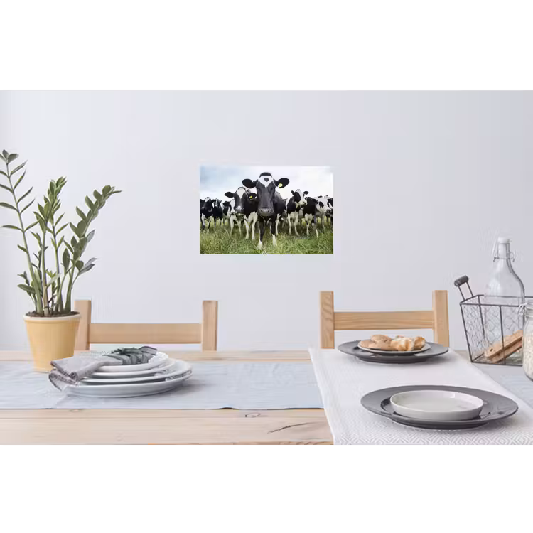 Koeien - Gras - Lente - Dieren - Weiland - Boerderij Muursticker klein -eettafel
