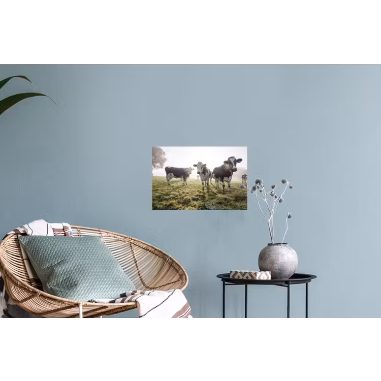 Koeien - Licht - Gras - Dieren Muursticker klein -plant
