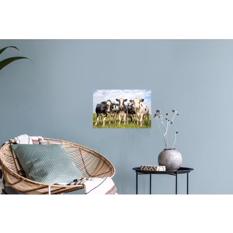 Koeien - Weiland - Dieren - Natuur - Gras Muursticker klein -plant