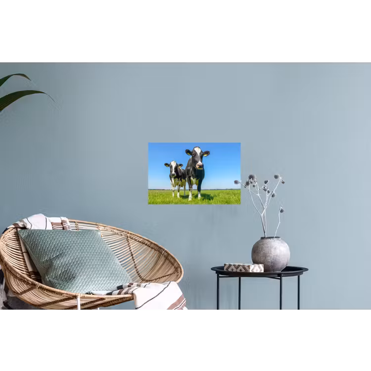 Koeien - Weiland - Gras - Dieren - Boerderij Muursticker klein -plant