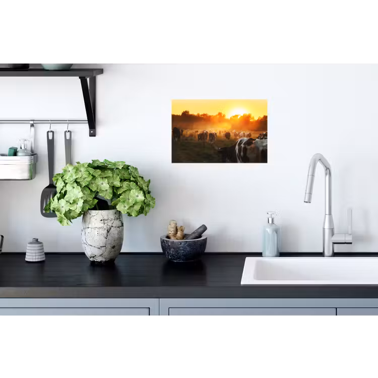 Koeien - Zonsondergang - Weiland - Dieren Muursticker klein -keuken