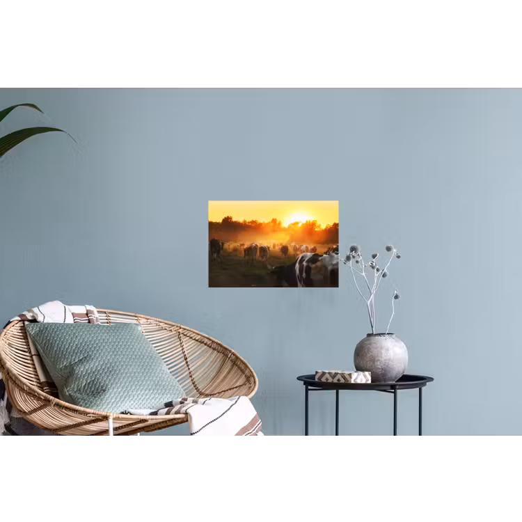 Koeien - Zonsondergang - Weiland - Dieren Muursticker klein -plant