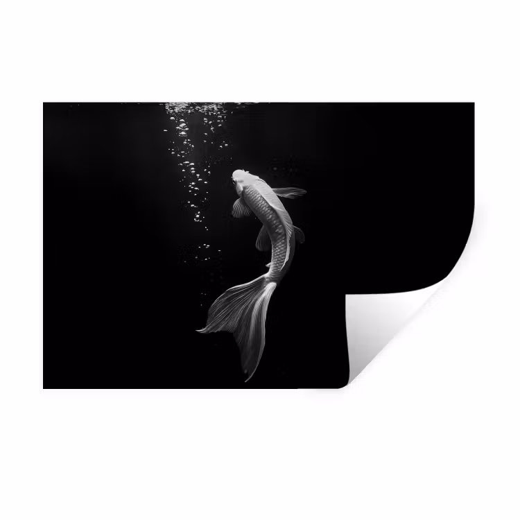 Koi - Vis - Wit - Zwart Muursticker klein -3d