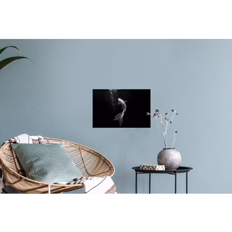 Koi - Vis - Wit - Zwart Muursticker klein -plant
