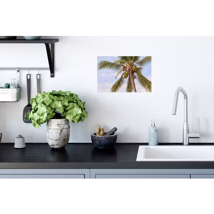 Kokosnoot - Boom - Tropisch - Natuur - Groen Muursticker klein -keuken