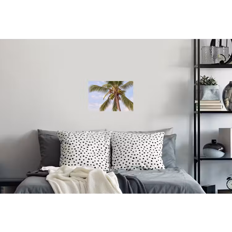 Kokosnoot - Boom - Tropisch - Natuur - Groen Muursticker klein -slaapkamer