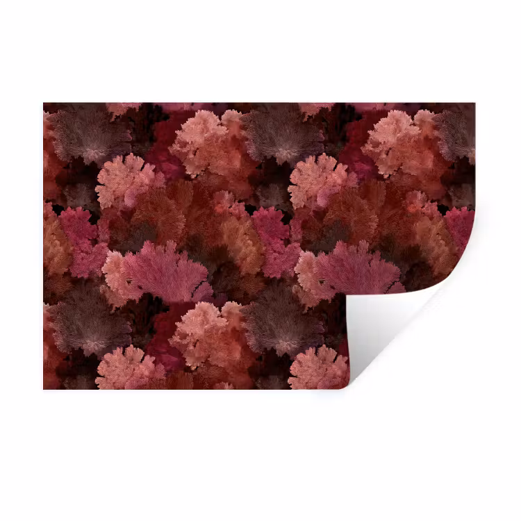 Koraal - Textuur - Kleurrijk Muursticker klein 286 -3d