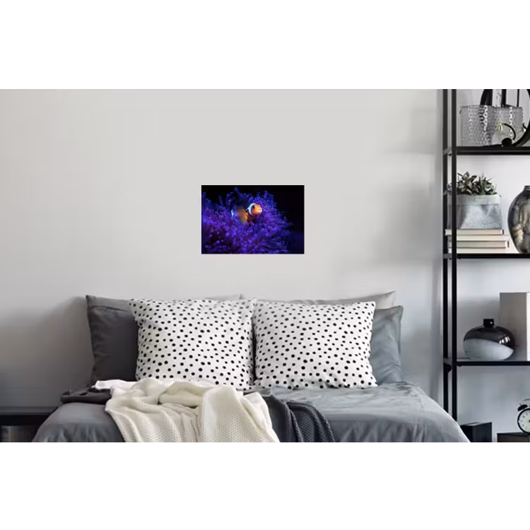 Koraal - Vis - Oranje - Zee Muursticker klein -slaapkamer