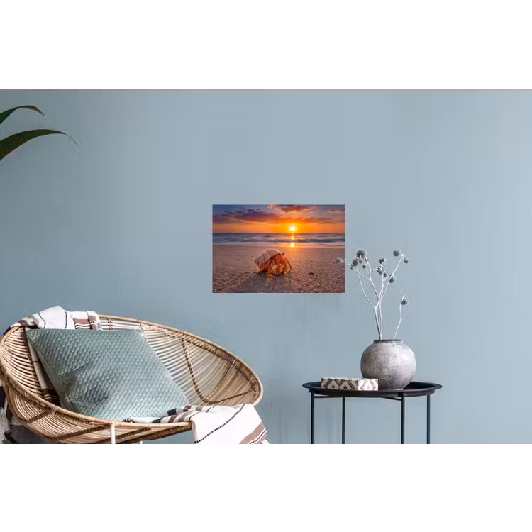 Kreeft - Strand - Natuur - Zonsondergang - Oranje Muursticker klein -plant