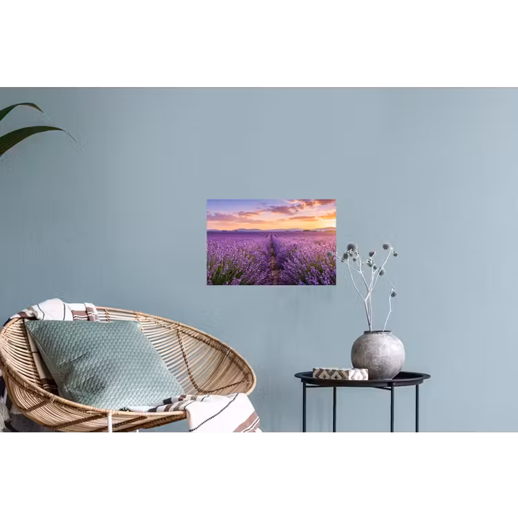 Lavendel - Veld - Natuur - Paars Muursticker klein -plant