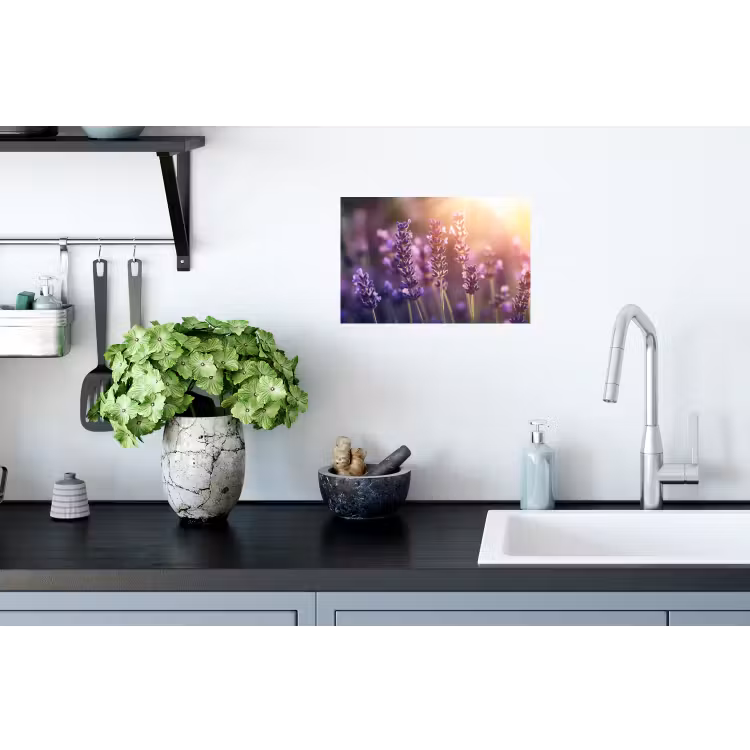 Lavendelbloemen - Paars - Zonlicht Muursticker klein -keuken