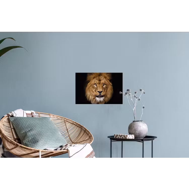 Leeuw - Portret - Zwart - Dieren Muursticker klein -plant