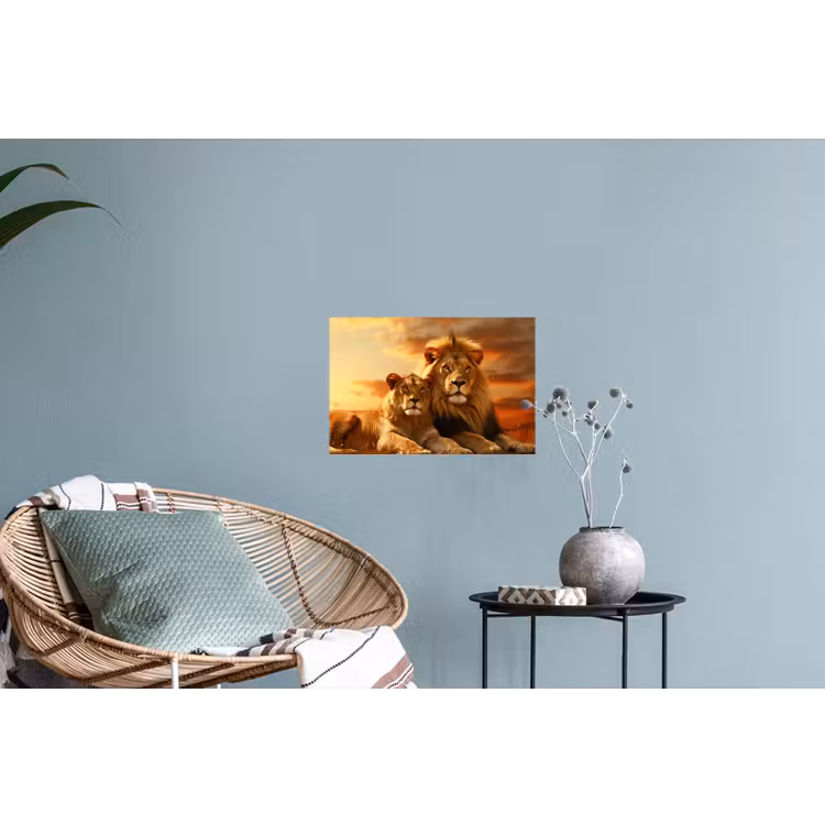 Leeuwen - Zonsondergang - Afrika - Savanne - Dieren Muursticker klein -plant