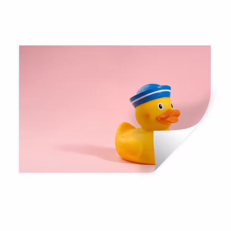 Matroos - Eend - Roze Muursticker klein -3d