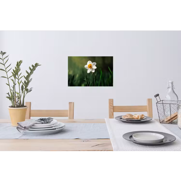 Narcis - Bloem - Wit - Grassprieten Muursticker klein -eettafel