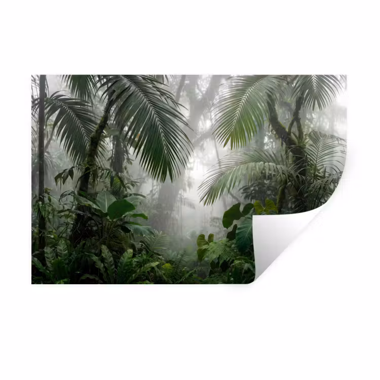 Natuur - Jungle - Mist - Tropisch - Groen Muursticker klein -3d