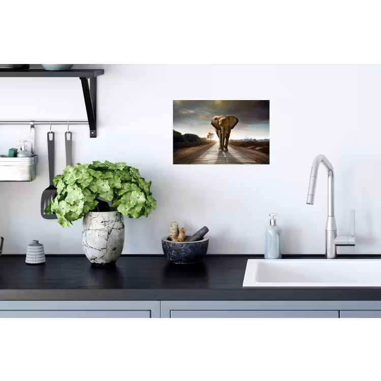 Olifant - Weg - Dieren - Zonsondergang - Landschap Muursticker klein -keuken