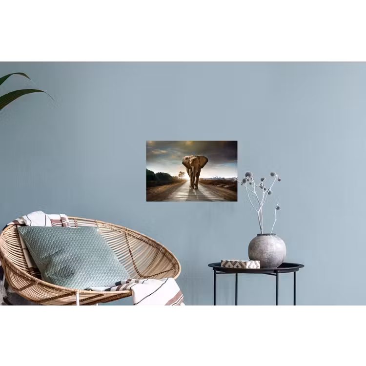 Olifant - Weg - Dieren - Zonsondergang - Landschap Muursticker klein -plant