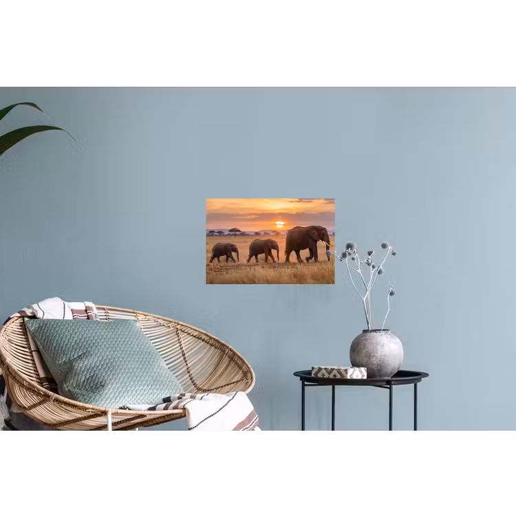 Olifanten - Savanne - Zonsondergang - Afrika - Warm Muursticker klein -plant