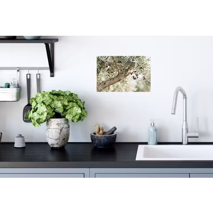 Muursticker - Olijfboom - tak - groen - Olijfboom - tak - groen Muursticker klein