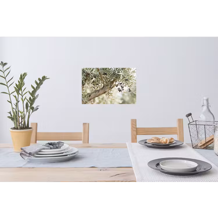 Muursticker - Olijfboom - tak - groen - Olijfboom - tak - groen Muursticker klein