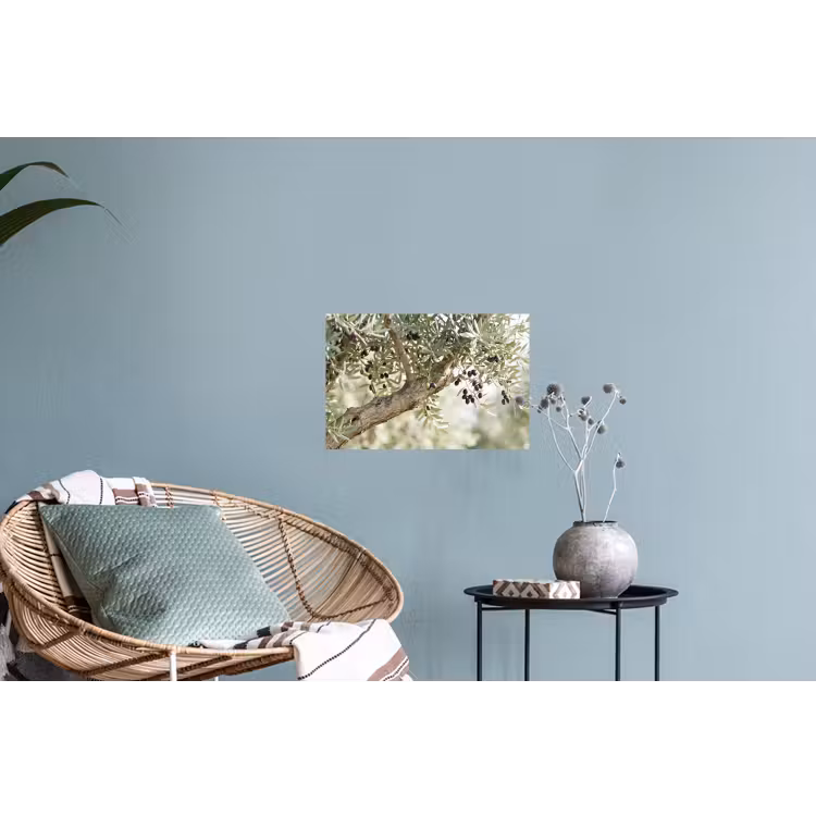 Muursticker - Olijfboom - tak - groen - Olijfboom - tak - groen Muursticker klein